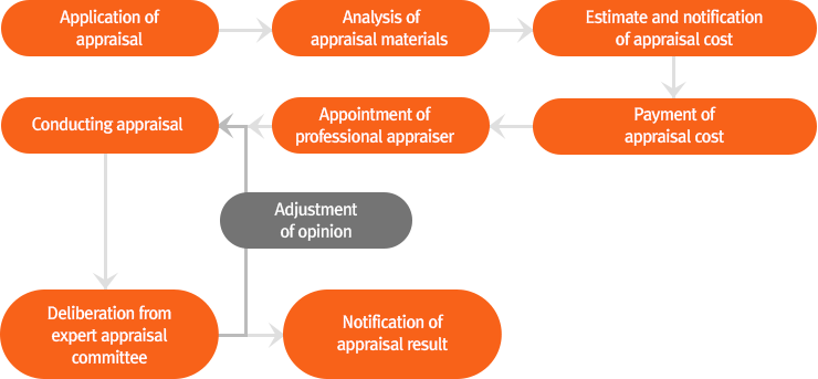Appraisal procedure image