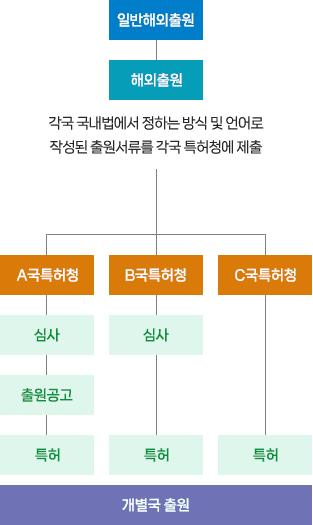 (일반해외출원)개별국 특허출원 및 PCT에 의한 국제 특허 출원 흐름도